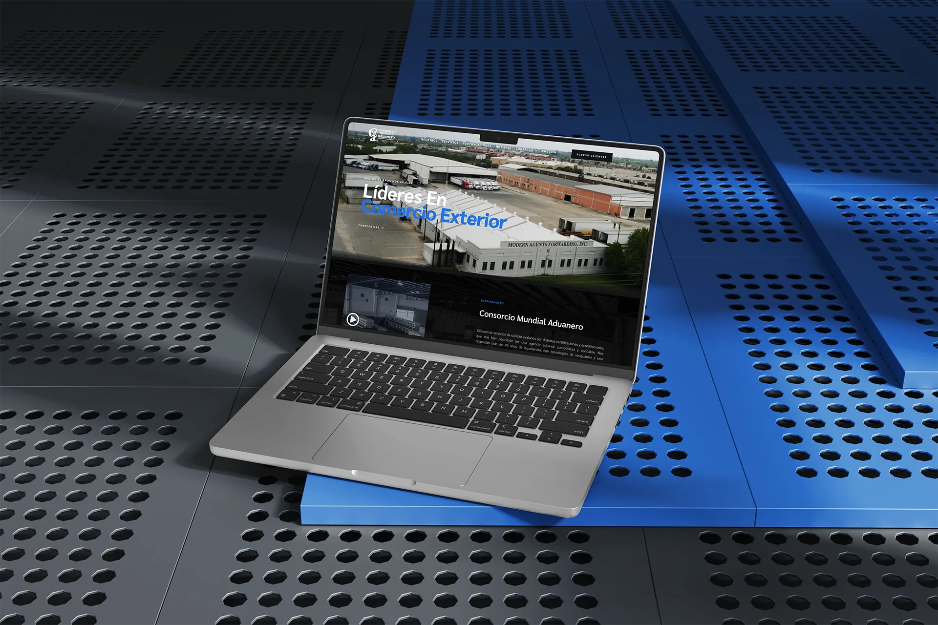 lcdlc1
